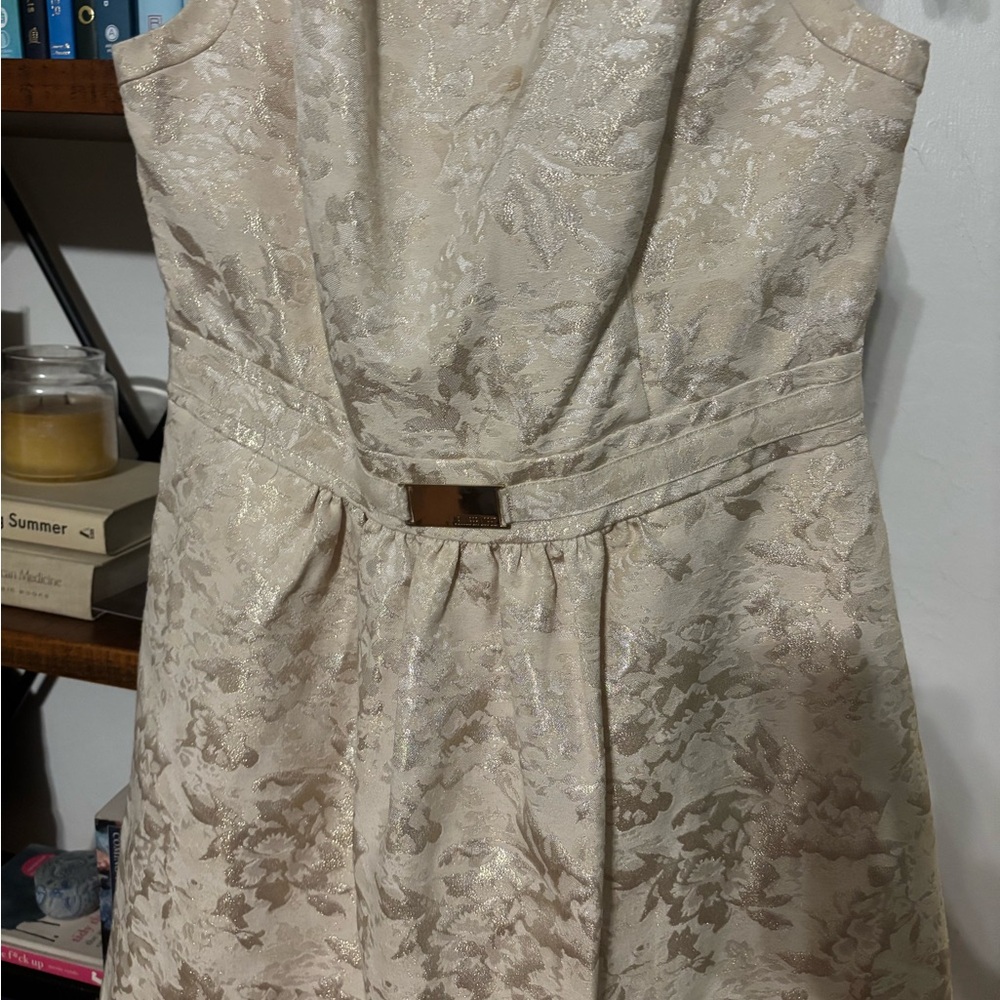 Jennifer Lopez Cream Floral Backless Dress